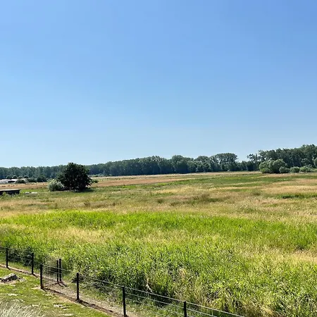 Weisse 05 * Больтенхаген